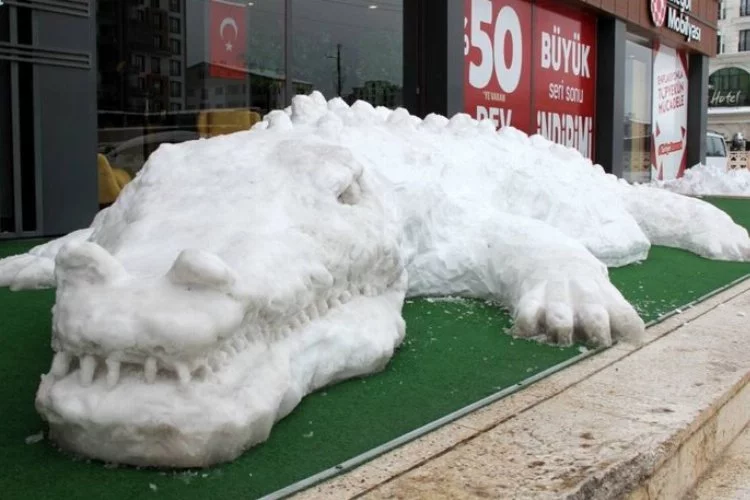 11 metre uzunluğundaki kardan timsah şaşırttı