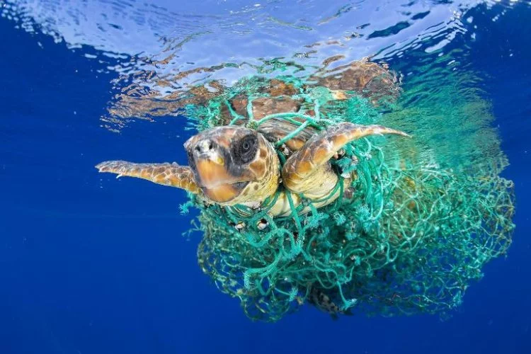 Plastik geri dönüşümü: Deniz kirliliğiyle mücadelede çözüm arayışları