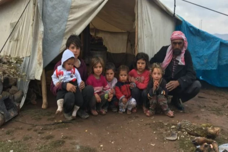Suriyeli aileler çadırda yaşam savaşı veriyor!