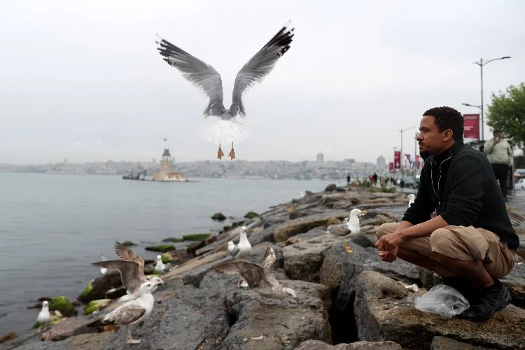 14 yıldır Türkiye'de! Nadir rastlanan kuş türünü görüntüledi