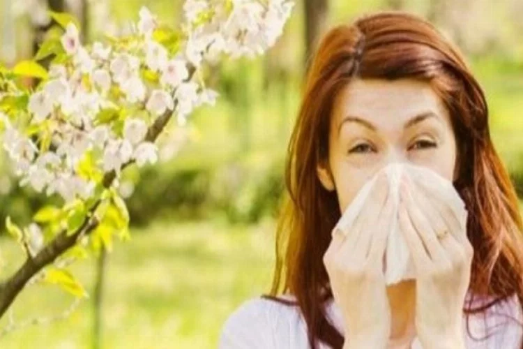 Bahar alerjisi "çok temizleri" daha çok etkiliyor