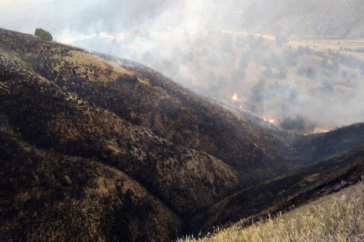 Tosya'da tarım arazisindeki yangında 100 dönüm alan kül oldu