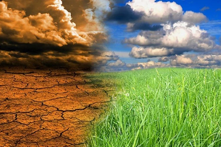 İklim değişikliği ve tarım: Küresel zorluklar ve yenilikçi çözümler