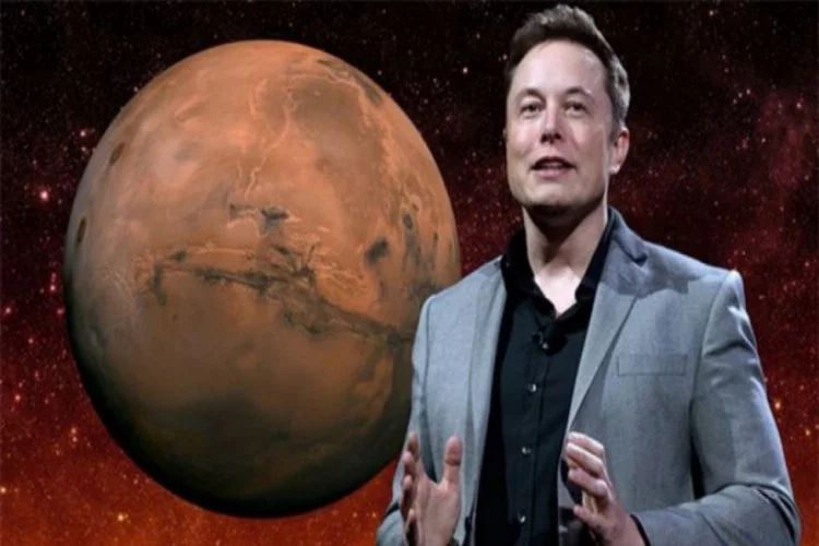 Musk, Ay'a yolculuğa hazırlanıyor