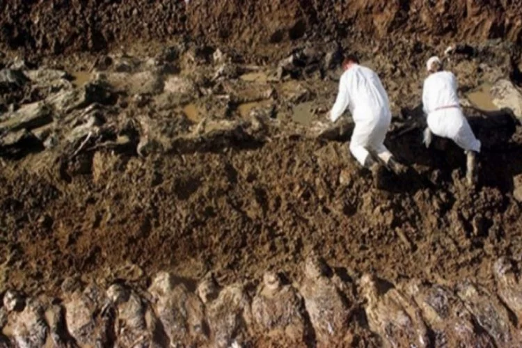 Sınırda 7 toplu mezar bulundu