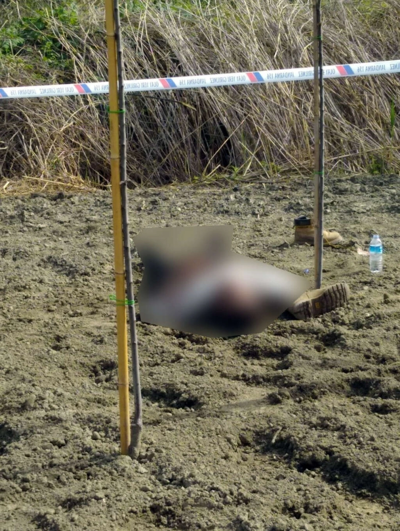 Bursa'da şeftali bahçesinde cinayet! Yeni gelişme