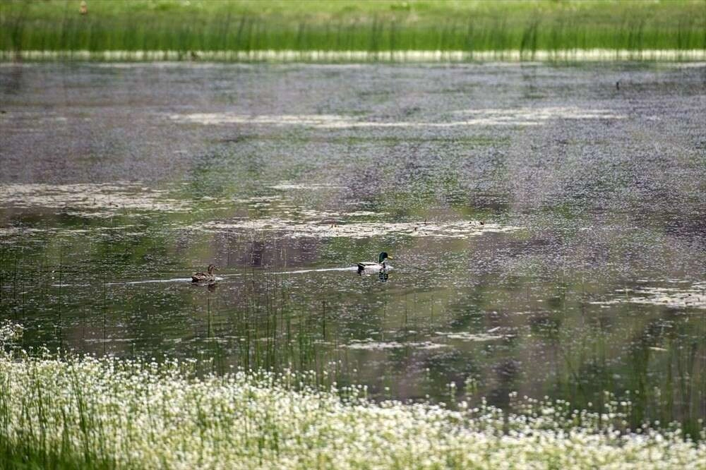 Tabiat harikası! Sülüklü Göl