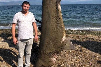 Bursa'da ağlara takıldı: Tam 500 kilo ağırlığında