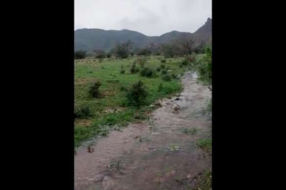 Mekke'de ovalar yeşillendi