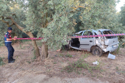 Bursa'da otomobil zeytinliğe uçtu: 1 ölü!