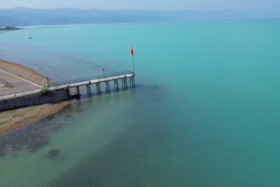 Plankton patlaması nedir, nasıl gerçekleşir?