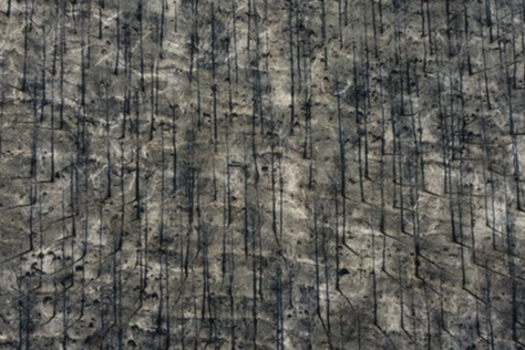 Eskişehir ve Çanakkale'den içler acısı görüntüler