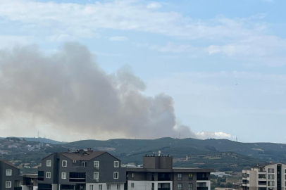 Mudanya'da orman yangını: Bursa Valisi'nden açıklama!