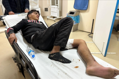 16 yaşındaki gence ayı saldırısı!