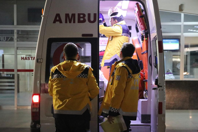 Ayı saldırısına uğrayan kişi ağır yaralandı