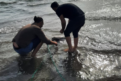 Ekipler denetimde buldu!