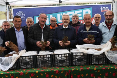 Çilek üretimi Nilüfer Belediyesi’nin desteğiyle artıyor