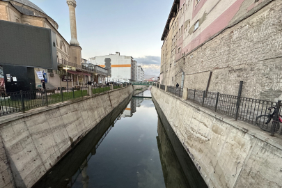 Balık popülasyonunu arttıran çalışma!