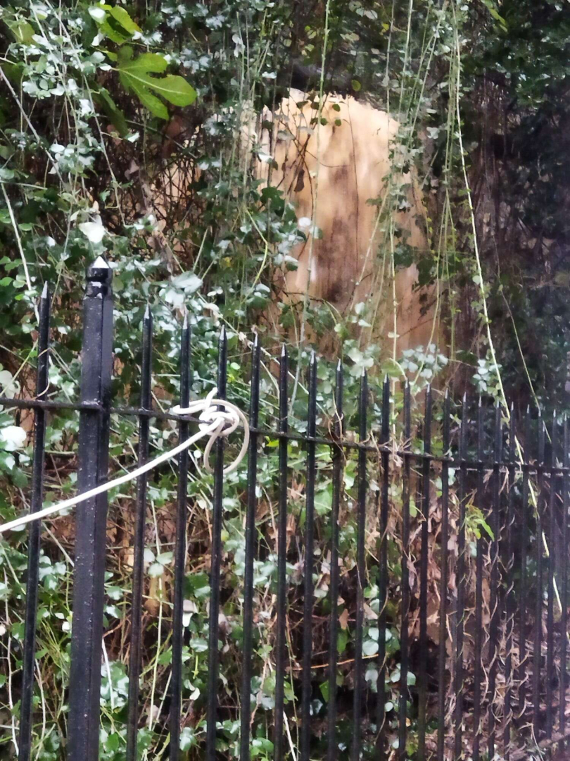 Sağanak sonrası Karacabey su altında kaldı!-Bursa Hayat Gazetesi-3