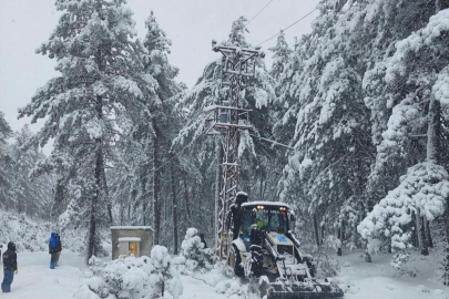 Bursa’da ağaç elektrik direğinin üzerine devrildi!