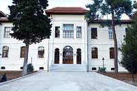 Valilikten ölü bulunan köpeklerle ilgili açıklama