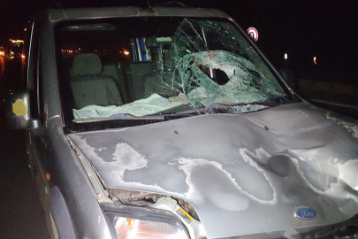 Yaya kazada hayatını kaybetti