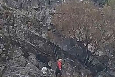 Kayalıklarda mahsur kalan keçileri kurtarmak için ekipler seferber oldu