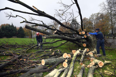 Osmangazi’de lodos sonrası yaralar sarılıyor