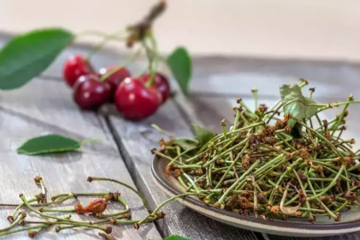 Kiraz sapının faydaları nelerdir? Kiraz sapı çayı nasıl yapılır?