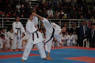 Kyokushin'in temel özellikleri nelerdir?