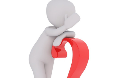 Feed nedir? Feed'in türleri nelerdir?