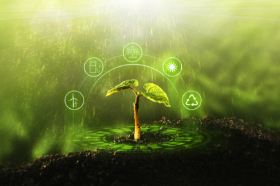 Sürdürülebilirlik nedir? Önemi ve ilkeleri