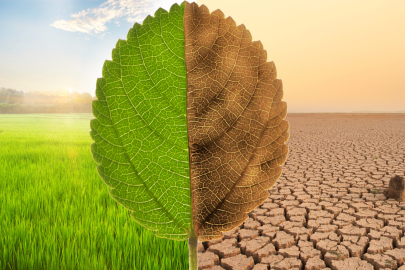 Geleceğimizi şekillendiren büyük tehlike: İklim krizi!