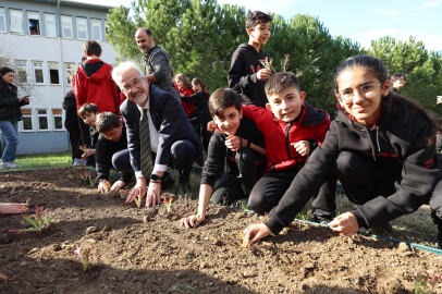 Nilüfer'de çilek ve marul fideleri toprakla buluştu