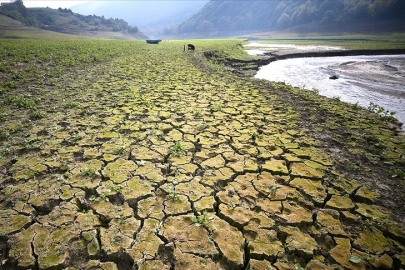 Önemli uyarı: Yarısından fazlası kurudu!