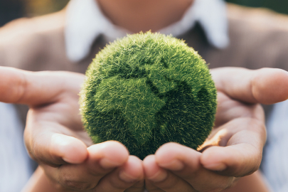 Sürdürülebilirlik nedir, neden önemlidir?