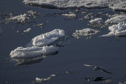 Endişelendiren araştırma sonucu!
