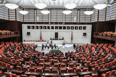 Parlamenter Sistem: Avantajları ve Dezavantajları