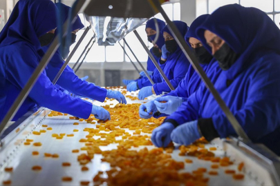 Malatya kayısısında yeni ihracat rekoru hedefi