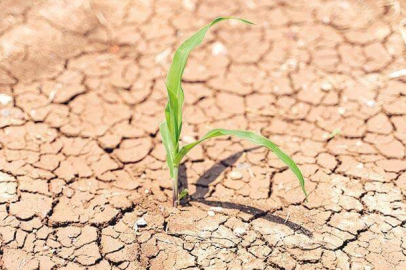 Su kıtlığının sebepleri nelerdir?