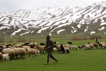 Hayvancılık destekleme ödemelerine ilişkin paylaşım
