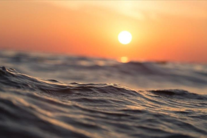 Okyanus sıcaklıklarının yükselmesinin neden olduğu sorunlar