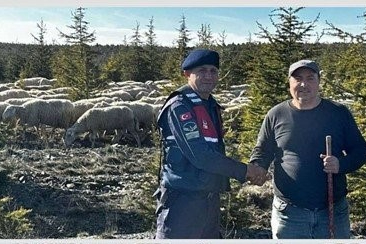 Çiftçinin kaybolan sürüsünü jandarma buldu