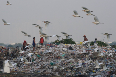 BM'den gıda tüketimi ile ilgili rapor!