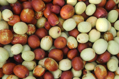 Enerji ve vitamin deposu: Hünnap