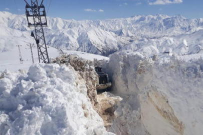 Muş ve Hakkari'de karla mücadele!