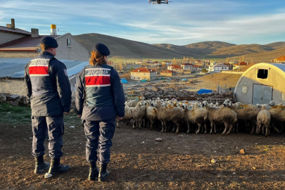 Kayıp koyunlar dron ile bulundu