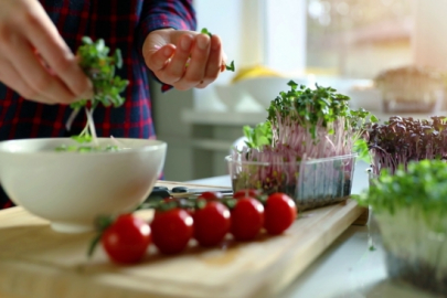 Kendisi küçük faydası büyük: Mikro yeşillikler