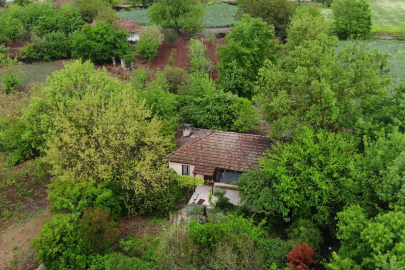 Profesör kayboldu, bu mahalle hayalete döndü!