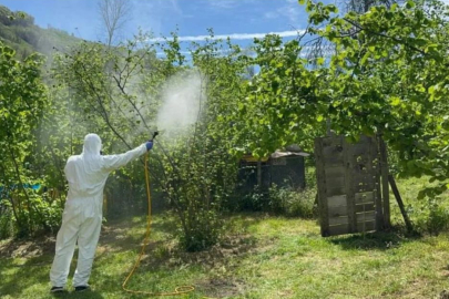 Müdahale edilmezse tüm tarım ürünlerinin geleceği ciddi tehdit altında
